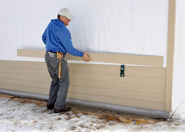 Best Custom Siding Design  in Cross City, FL